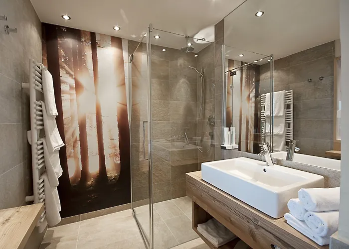 HAIDVOGL KINDERHOTEL Zell am See