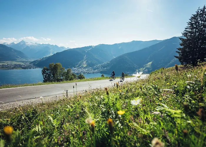 HAIDVOGL KINDERHOTEL Zell am See
