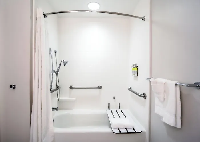 Holiday Inn Express Hotel & Suites Tampa-Usf-Busch Gardens By Ihg