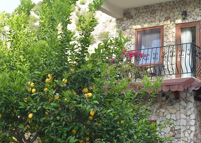 Hotel Villa Monte
