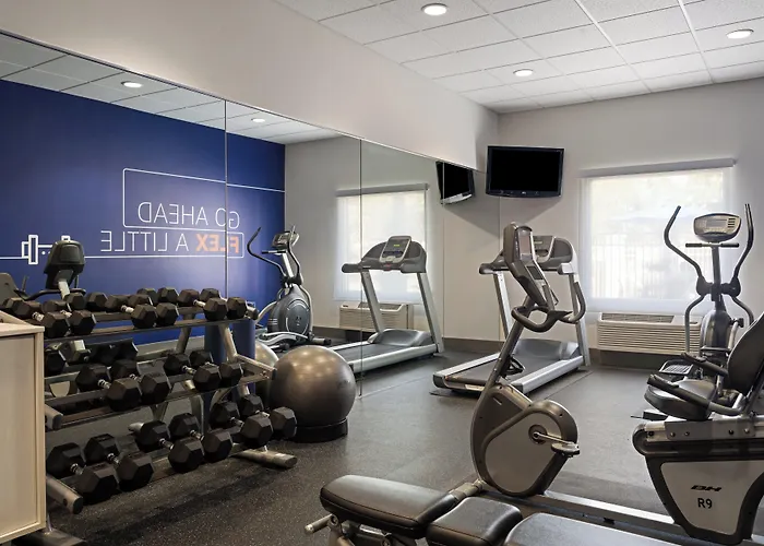 Holiday Inn Express & Suites St. Petersburg North