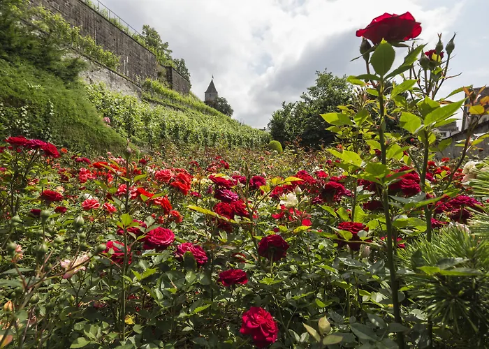 Sorell Boutique-Hotel Speer Rapperswil