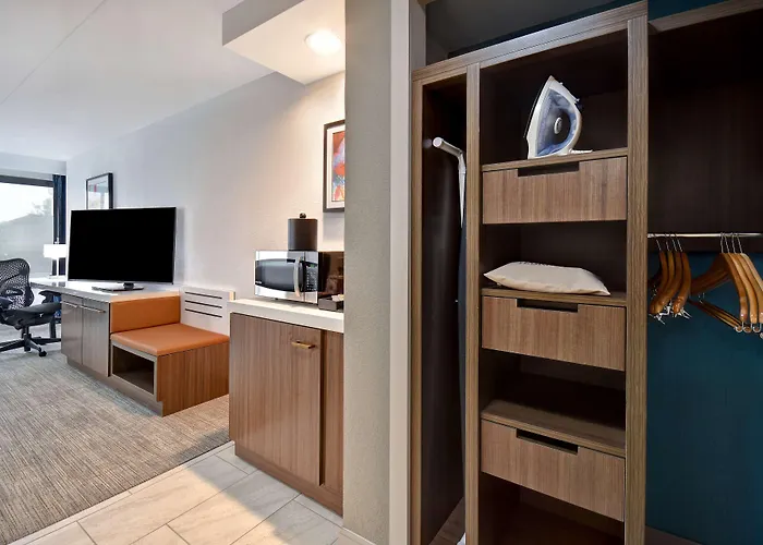 Hilton Garden Inn Detroit Metro Airport