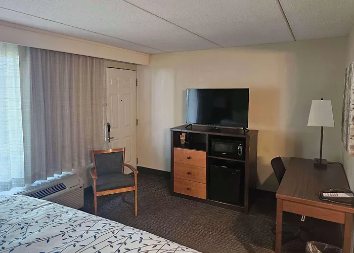 Americinn By Wyndham Birch Run - Frankenmuth