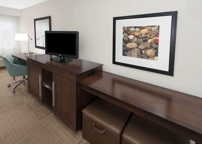 Hampton Inn Birch Run