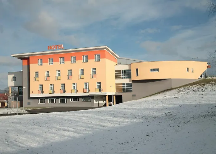 Sportarena Teplice Prispevkova Organizace
