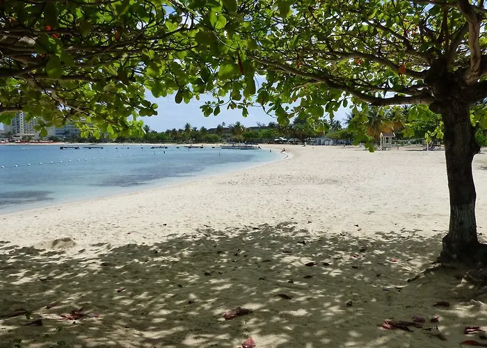 Beach Studio 9