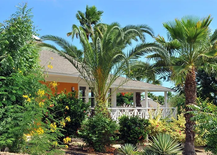 Chogogo Resort Curacao