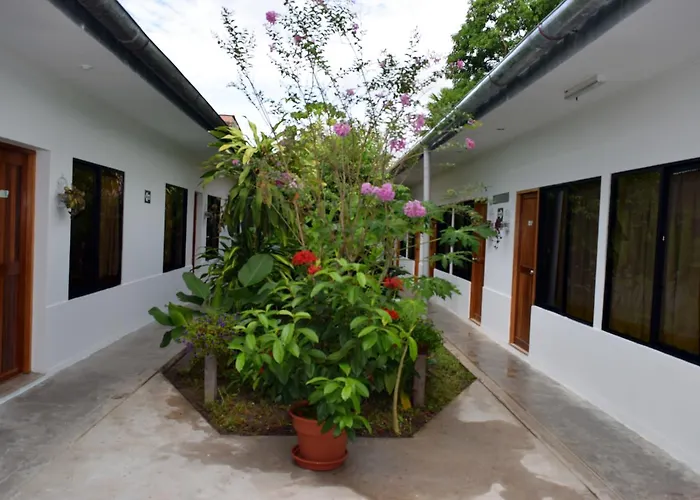 Hotel Jungle House