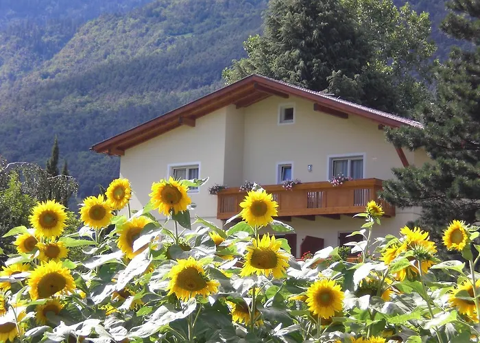 Pension Morenfeld
