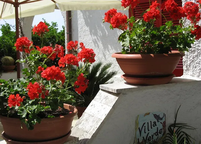 Albergo Villa Verde