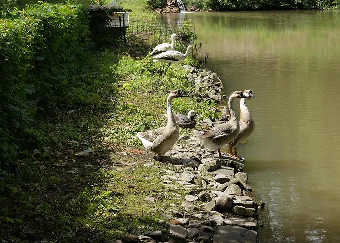 Hotel Restaurant Muckensee