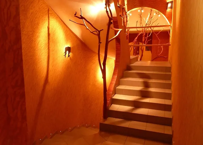Kactus Lodge