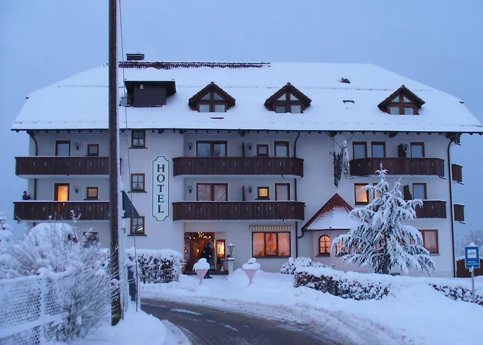 Hotel Drei Konige