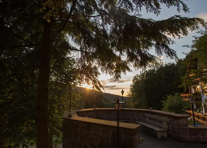 Wald-Hotel Heppe