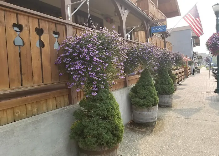 Mrs. Anderson'S Lodging