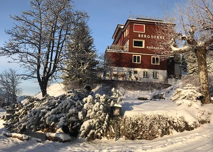 Hotel Bergsonne Rigi