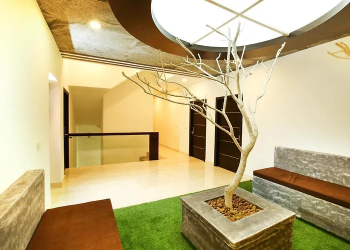 Mazus Inn