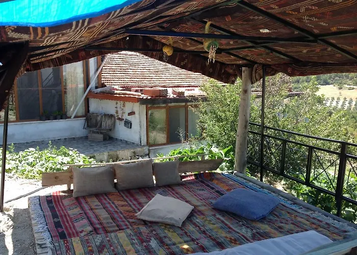 Sato Koeyevi-Selendi