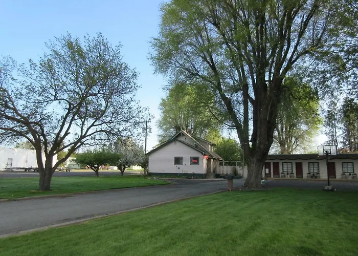 The Willows Motel