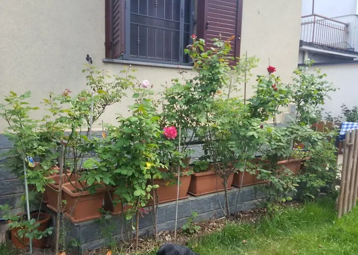 Monteceneri 9 B&b