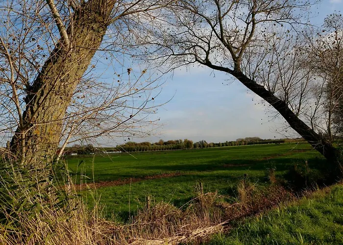 De Grote Wateringe