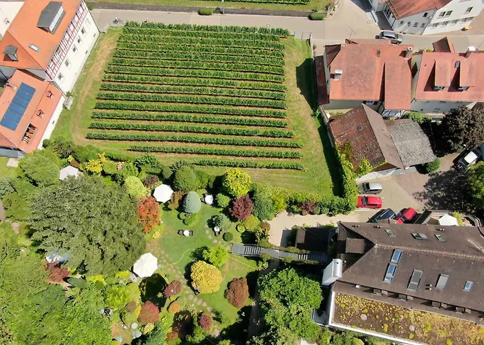 Hotel Der Löwen