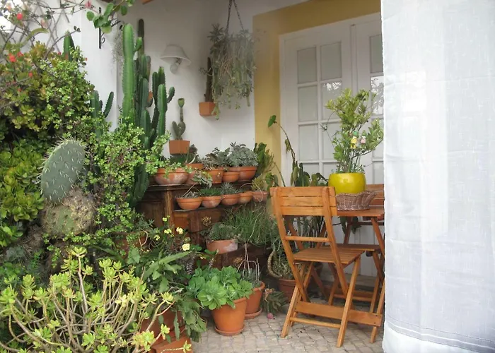 Casa Dos Cactos