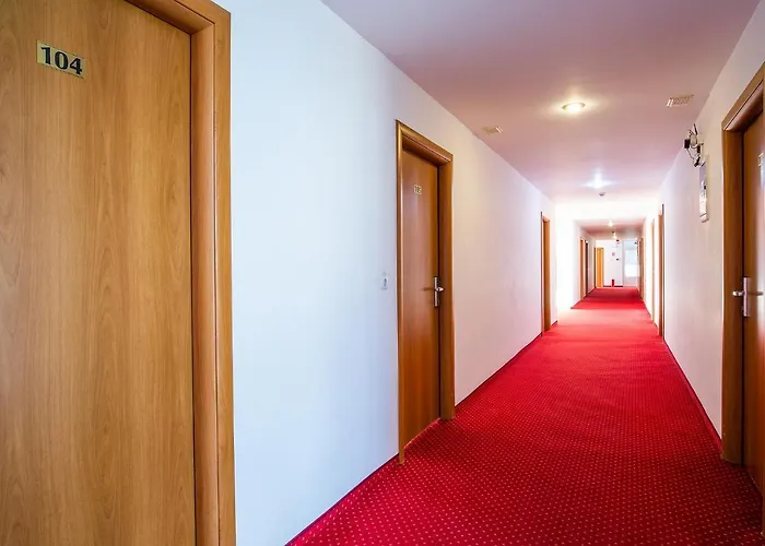Hotel Dana
