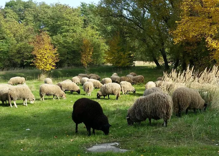 Gut am See